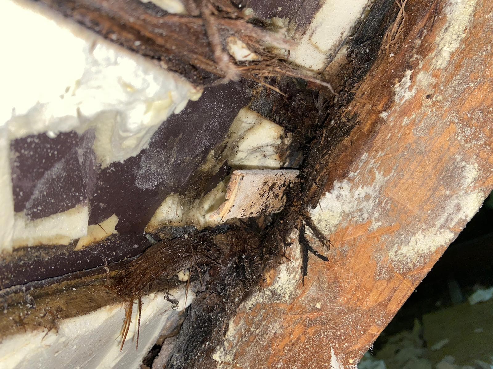 Spray Foam Mortgage Problems: Removal and Remediation Solutions