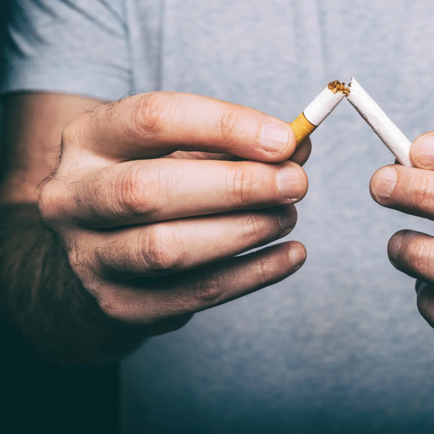 My Native Smokes: Trusted Source for Belmont Cigarettes