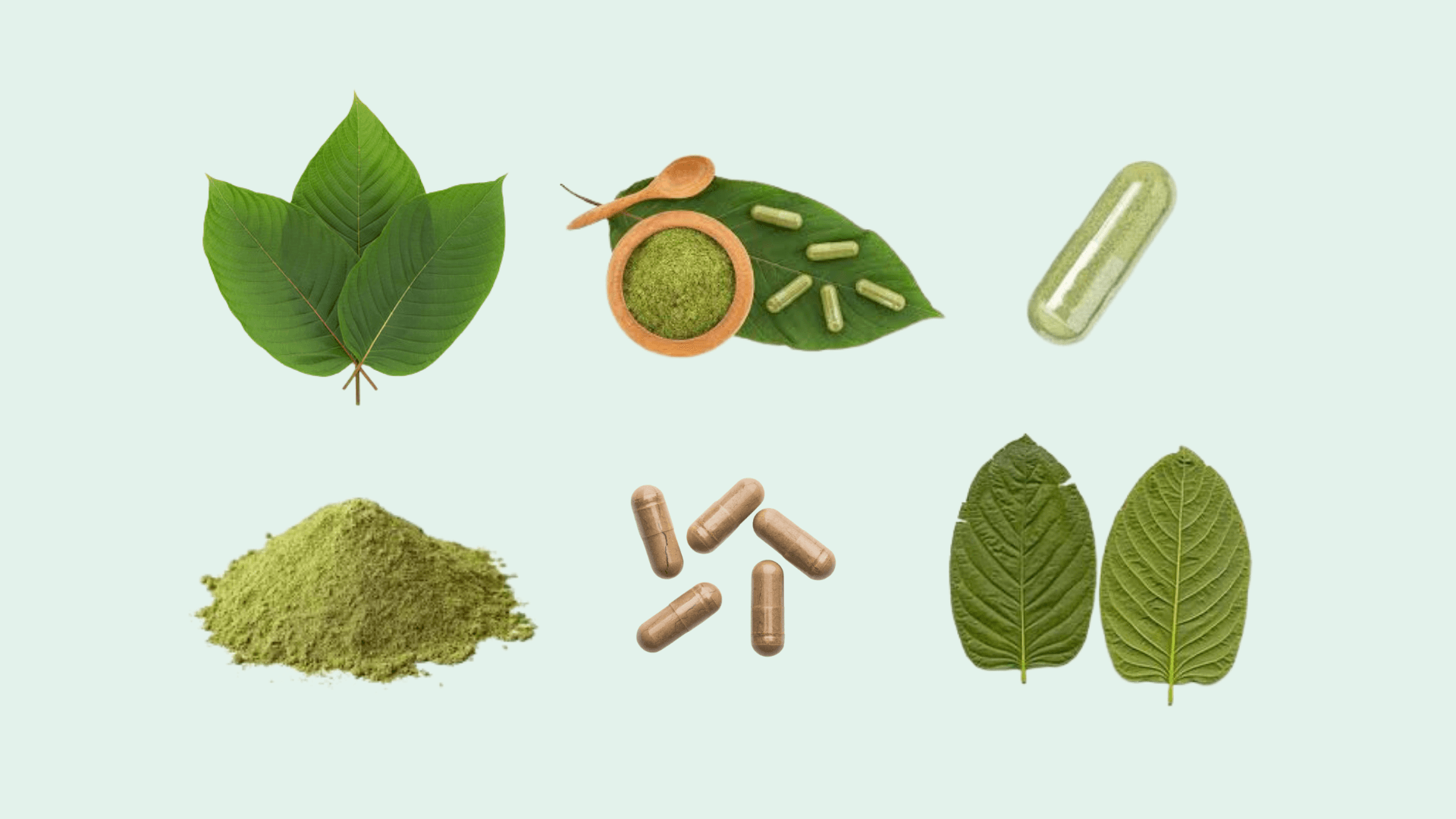 Traditional Thai Kratom Tea: A Heritage of Healing