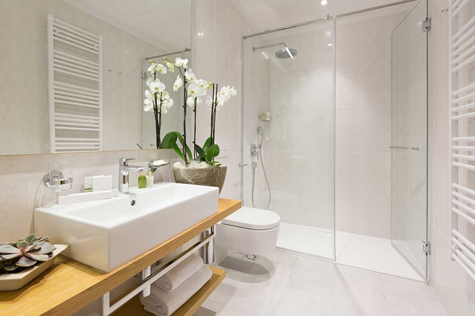 Semi-Frameless Shower Screen with Clean Glass Finish