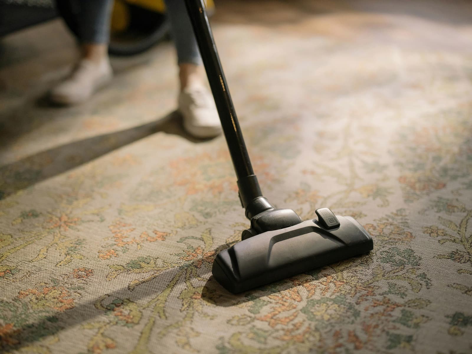 Professional Pet Odor Carpet Cleaning Services Near You