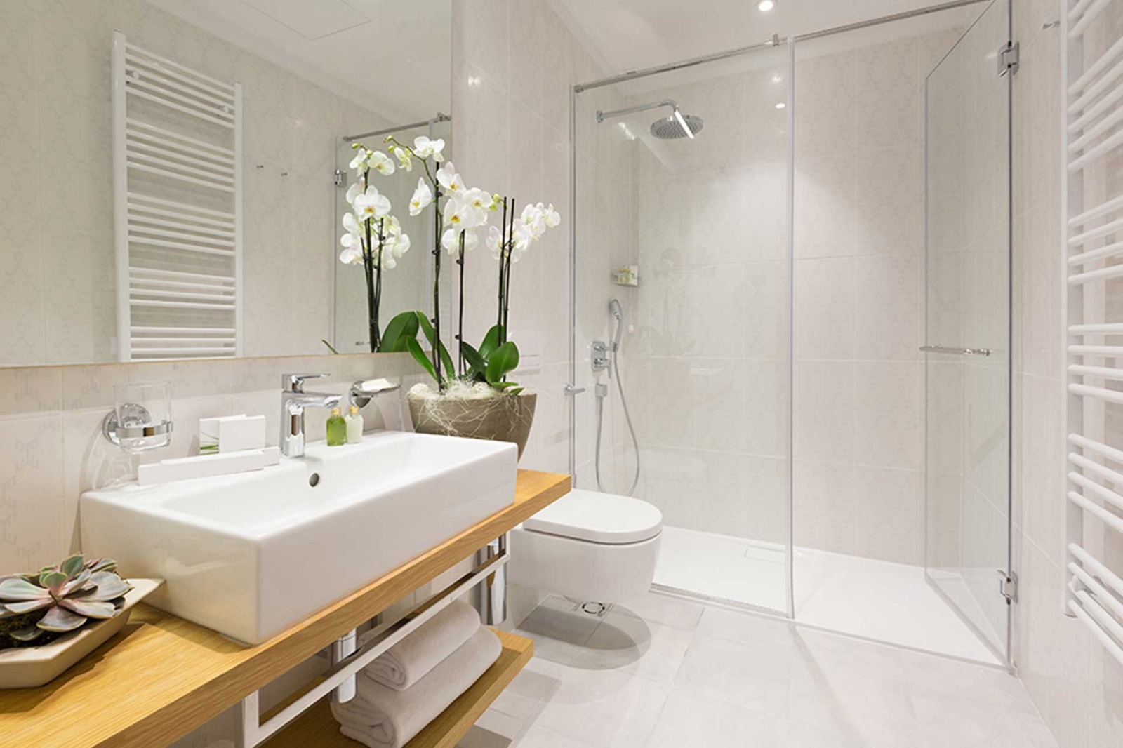 Semi-Frameless Shower Screen with Clean Glass Finish