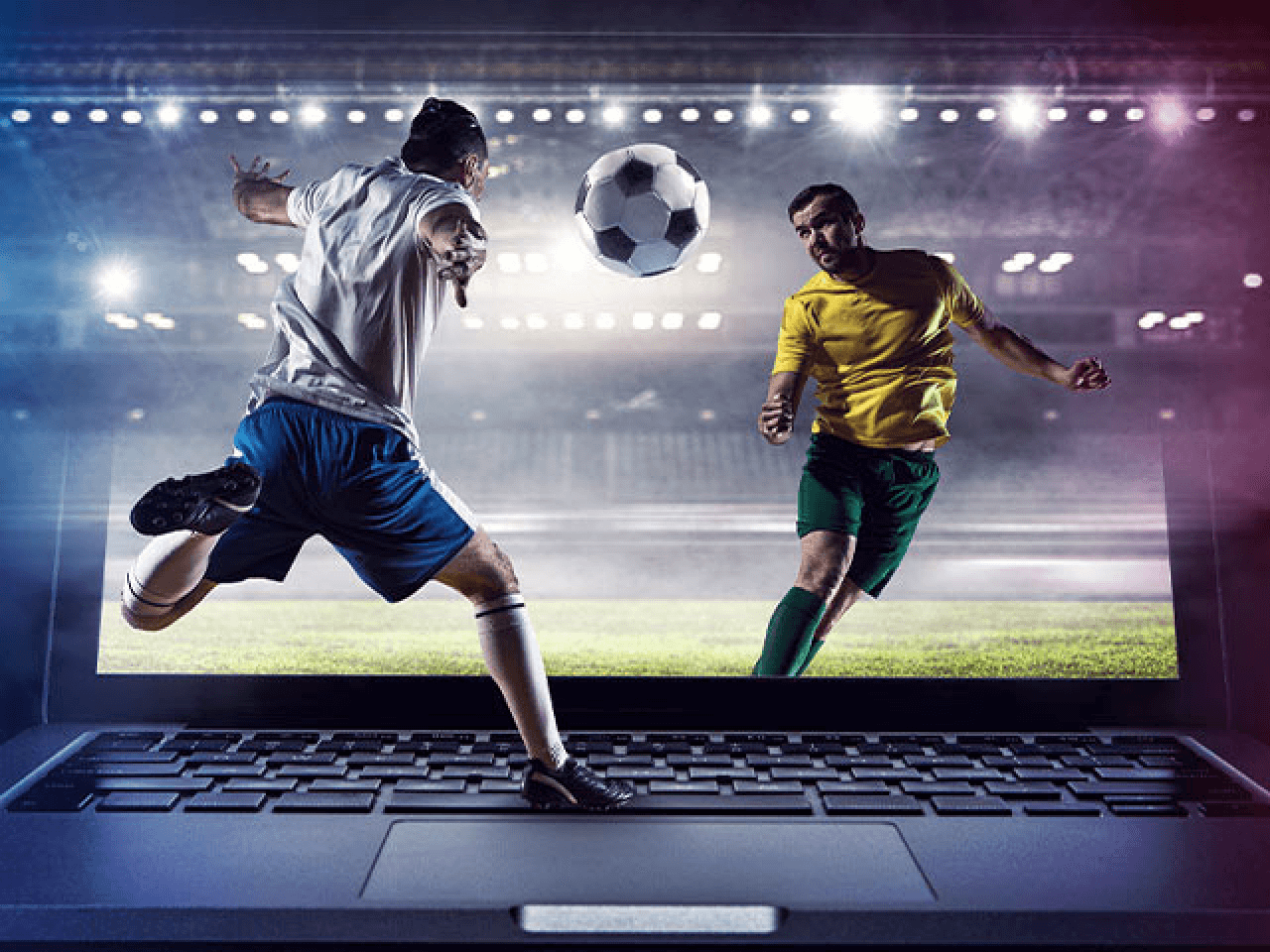 Top Insights for Sports Betting New Brunswick: Your Guide to Thriving in the Market