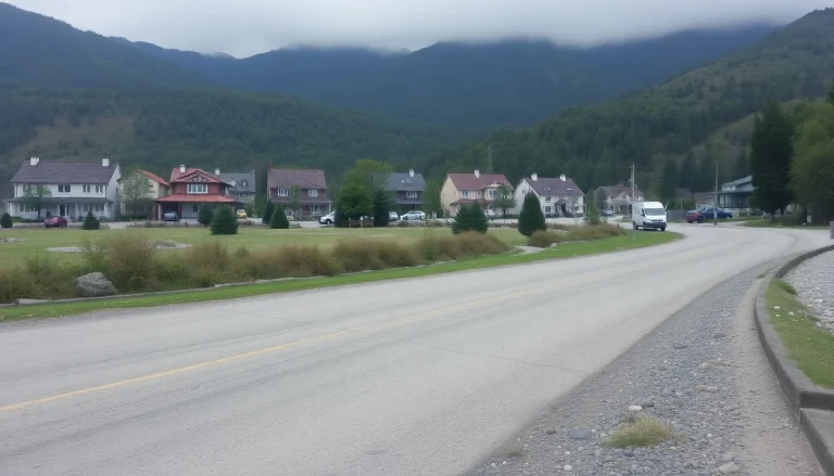 新車リースを選ぶお客様が多様な車両を楽しめるショールームの風景。